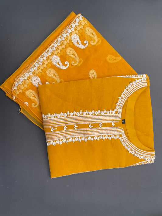 Organza embroidered dress